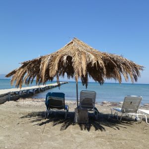benl-parasol-110524_1920
