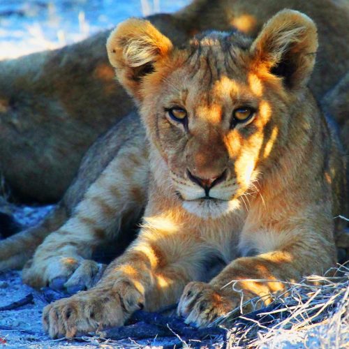namibie