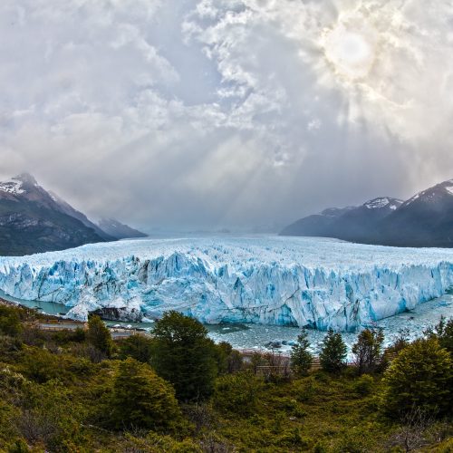 argentine