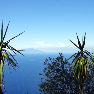 capri