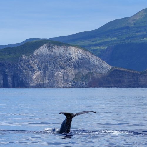 les açores