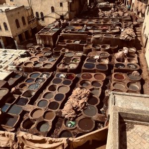 pexels-halil-cihat-daricioglu-229755410-32880205