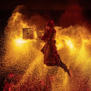 puy du fou