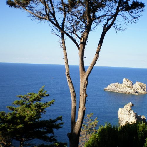 corfou
