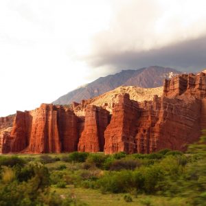 argentine