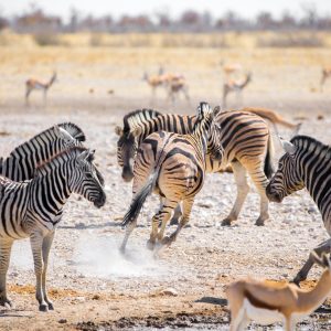 namibie