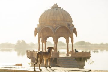 inde du sud