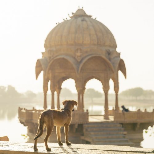 inde du sud